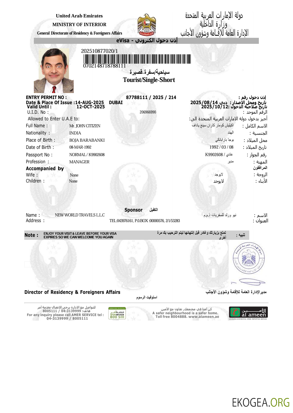 Modèle de visa électronique des Émirats arabes unis aux formats Word et PDF, version 9